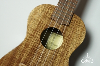 C-G/V -Concert- Gold